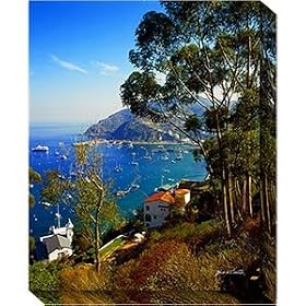 Catalina Paradise by Arthauz Outdoor Canvas Art by SHOPZEUS
