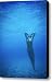 On Vacation Canvas Print / Canvas Art - Artist Vince Cavataio - Printscapes