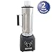 HAMILTON BEACH Blender HBF500S