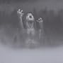 Taake