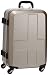 [���Υ١�����] innovator HardCarry 54L INV22E Champagne Gold (Champagne Gold)
