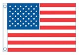 Taylor Made Products US 50 Star Sewn Boat Flag (20