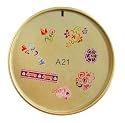 ENAS Nail Art Rainbow Stamp A-21 Retail Package