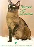 Burmese cats in camera