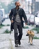 Will Smith High Quality Photo Print