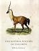 The Natural History of Unicorns