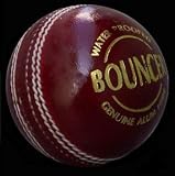 SG Bouncer Cricket Ball