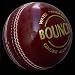 SG Bouncer Cricket Ball