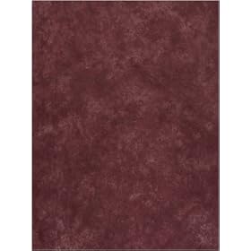 10'x10' Aged Leather Muslin Photo Backdrop-Owen's Originals