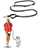 Best Quality Hands Free Dog Leash By Hertzko - Enjoy the Extra Freedom While Walking, Running or Hiking with Your Dog - Strong, Durable and Weather Resistant (48 inches Bungee)