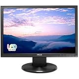Asus VW199T-P 19-Inch LED Monitor
