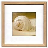 �s�t�����`�t�H�g�O���t�B�[�tFrench Photo