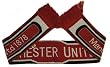 Manchester United Soccer Team Scarf