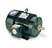 Leeson Electric