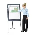 Iceberg 30127 IceBluerg Portable Presentation Flipchart Easel, 35 x 30, Gray