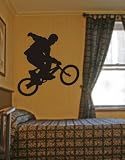 BMX Rider Decal Sticker Bike Bicycle X Games Racing Boy Teen Wall Vinyl Decal Sticker Art Graphic Sticker