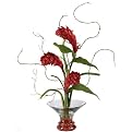 Ginger Torch With Gourment Bowl