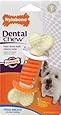 Nylabone Dental Chew Small Fresh Breath flavored Pro Action Bone Dog Chew Toy