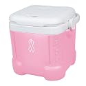 Igloo Ice Cube - Pink (12-qt.)