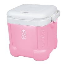 Igloo Ice Cube - Pink (12-qt.)