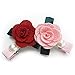 kilofly Pretty Girl Colorful Mix Hair Clips Value Pack [Set of 12 + Clip Holder]