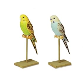 Breezy Singers Parakeet: Realistic Sculpted Bird creates Parakeet Bird Sounds