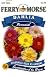 Ferry-Morse 1042 Dahlia Perennial Flower Seeds, Unwin's Dwarf Mixed Colors (575 Milligram Packet)