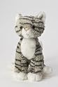 KooKeys Tiger Kitten