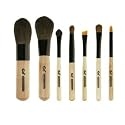 Go Professional Compact Makeup Brush Set