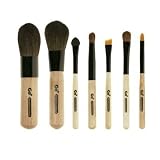 Go Professional Compact Makeup Brush Set