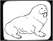Mouse Pad with black and white, walrus, Alaska, marine, mammal, pinniped, animal