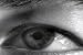 Eyes and Their Care (1941) (DVD)