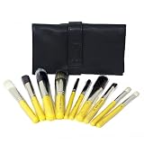 Mineral Essential 10 Piece Antibacterial Makeup Brush Set - Travel Line