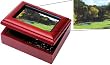 Decorative Music Box - 11th Hole Augusta