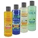 Pet Naturals PROTECT Flea Shampoo(16 oz)