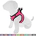 Pawtitas Pet Reflective Mesh Dog Harness, Step in Vest Harness, Comfort Control, Training Walking Your Puppy/Dog XXS Extra Extra Small Pink Dog Harness