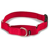 PetSafe Martingale Collar with Quick Snap Buckle, 3/4" Small, Red