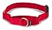 PetSafe Martingale Collar with Quick Snap Buckle, 3/4