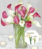 Calla Lilies - 20 Enchanting Callas Flowers with Vase