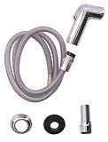 ACE GLOBE DESIGNER P00001 CP KITCHEN SPRAY HEAD & HOSE ASSEMBLY