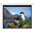Accuscreen 800007 119-Inch HDTV Electric Screens with Infrared Remote and Inline Control