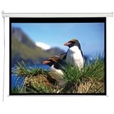 New - Draper Electrol Projection Screen - N09248