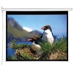 Accuscreen 800007 119-Inch HDTV Electric Screens with Infrared Remote and Inline Control