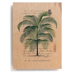 Leinwand 'Tropical Palms II' von Wild Apple Studio - Bild / Leinwand in den Ma�en von Breite 55 cm x H�he 76 cm