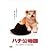 ハチ公物語 [DVD]