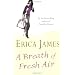 my favourite chick-lit books