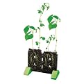 Educational Insights GeoSafari Sprout and Grow Window