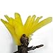 50pcs Home Decor Yellow Duck Feather