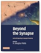 Beyond the Synapse: Cell-Cell Signaling in Synaptic Plasticity