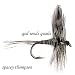Search : God Sends Quail